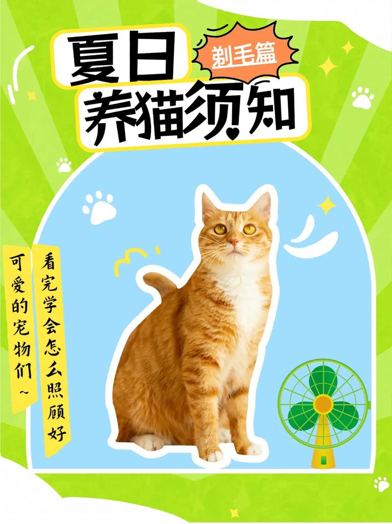 猫咪的美丽新剪裁，如何优雅地修剪你的宠物猫毛发