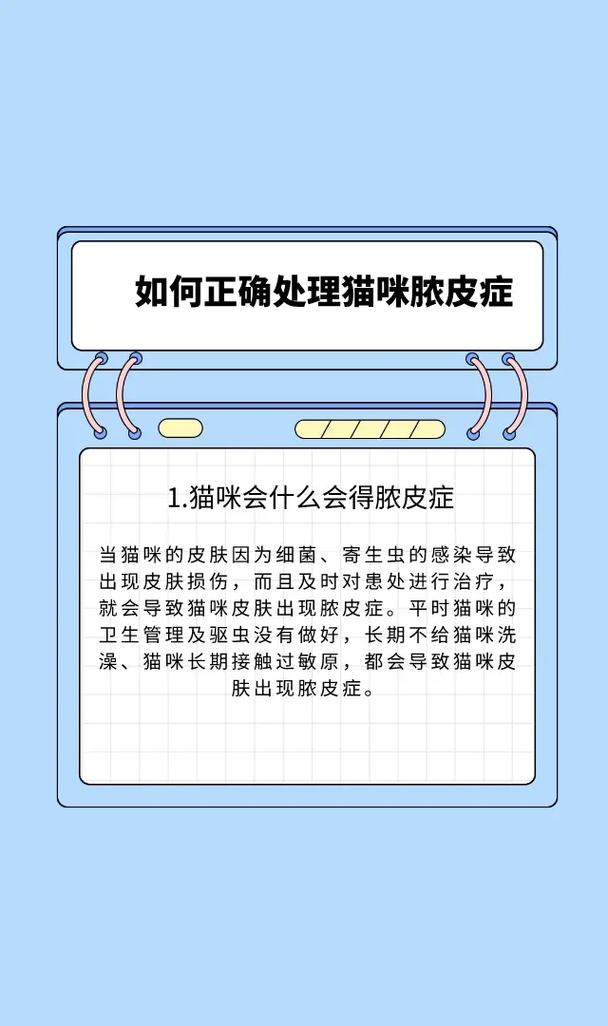 揭秘猫咪病毒，了解常见病原体与预防措施