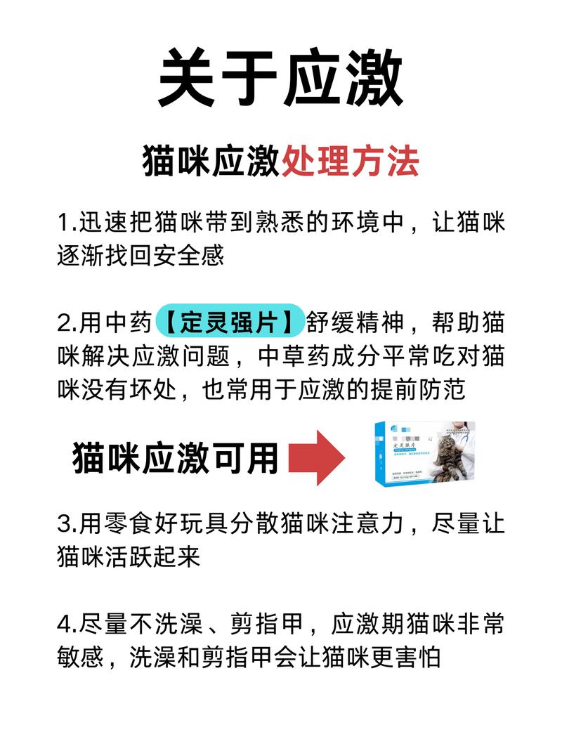 猫咪气喘与发热，了解症状、可能原因及应对措施