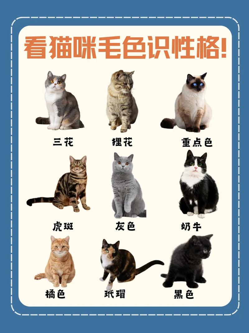 揭秘猫咪毛色变化的奥秘