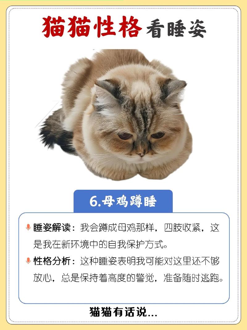 揭秘猫咪痤疮的治疗秘诀，轻松告别毛球难题