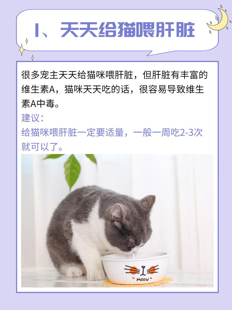 猫咪肝脏萎缩，了解症状与预防措施