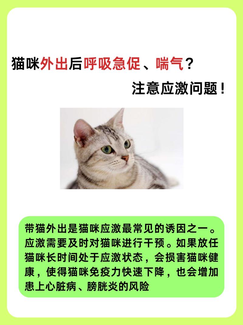 猫咪呼气警告