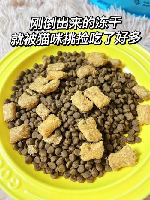 猫咪胡乱拉屎？从饮食到环境的全面指南