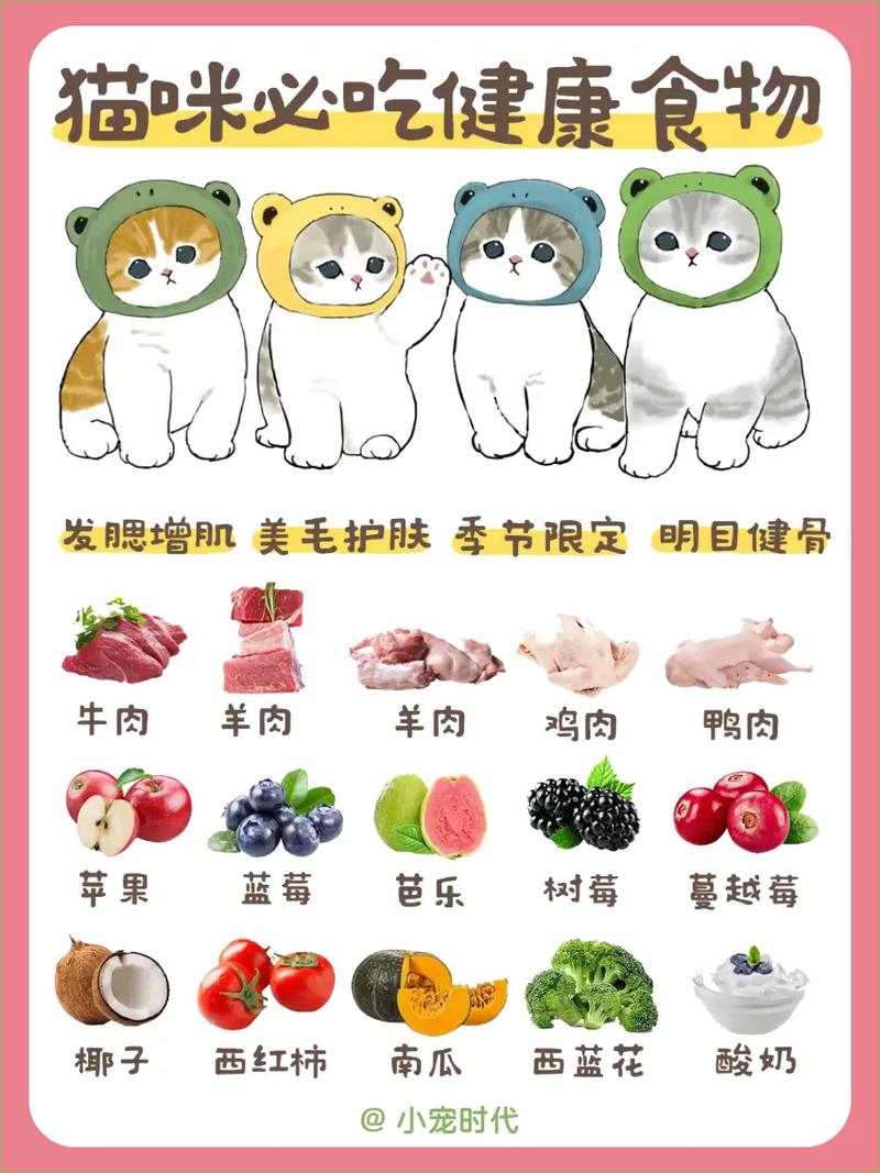 猫咪的美食指南，安全零食与健康食物全解析