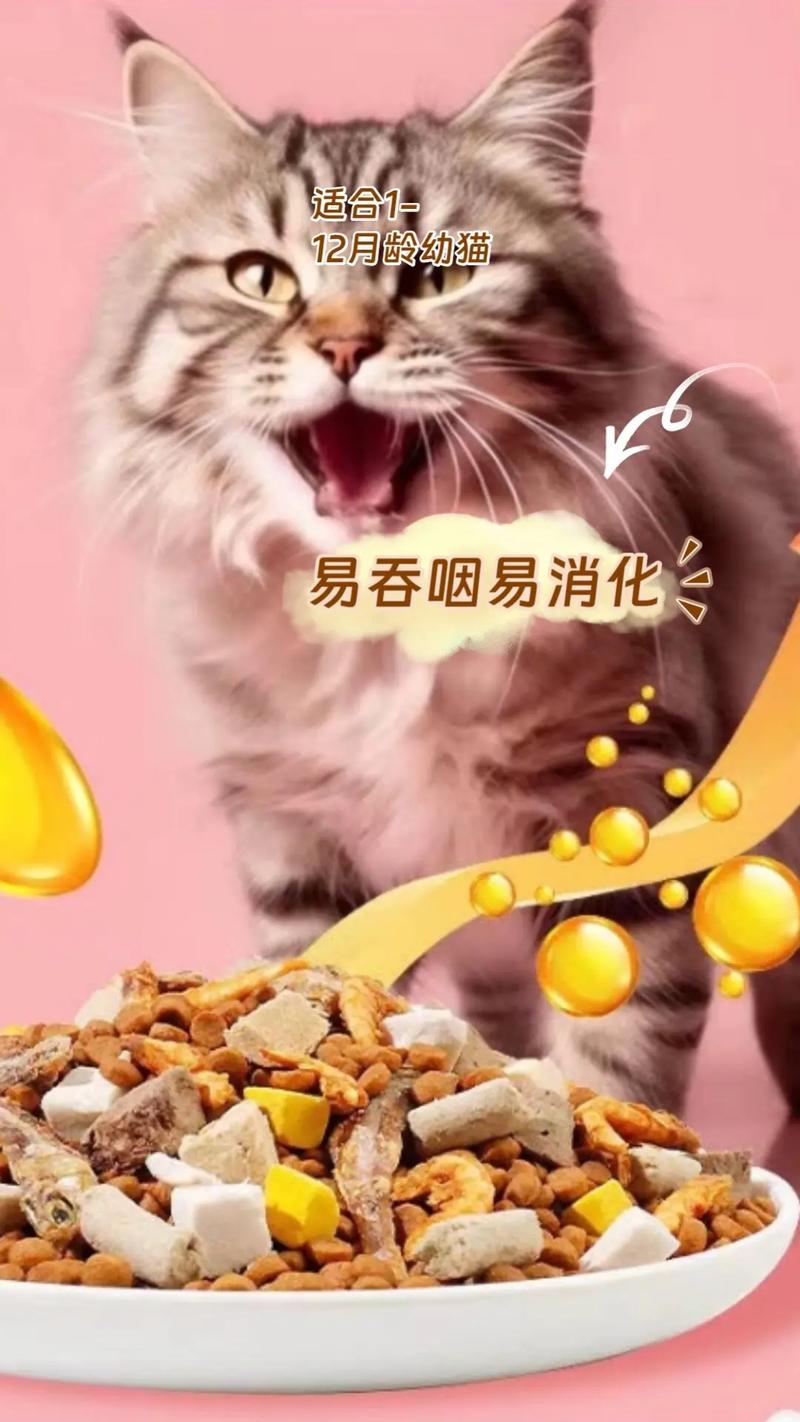 揭秘普通猫咪的体重奥秘，从幼猫到成猫的重量变化