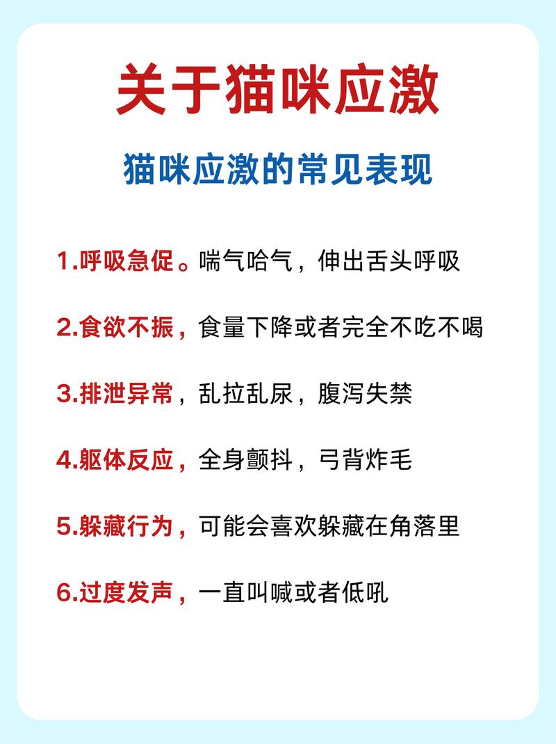 猫咪频繁颤抖？了解可能的原因和如何应对