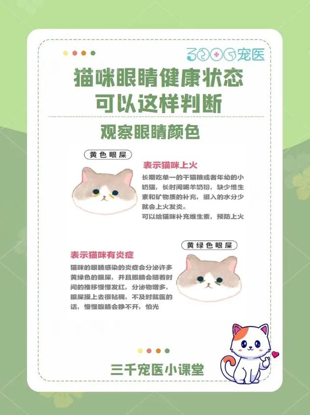 猫咪眼睛的清洁小秘密，如何有效清除眼屎