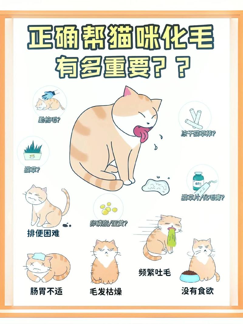 猫咪排便形状的密码，了解你的毛茸伙伴的健康状况