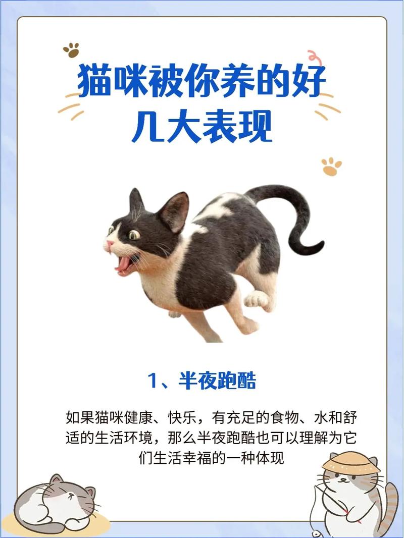 猫咪的舒适温度，了解你的小猫需要多少温暖