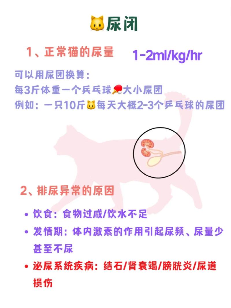 猫咪尿量异常？了解如何应对猫咪尿量大问题