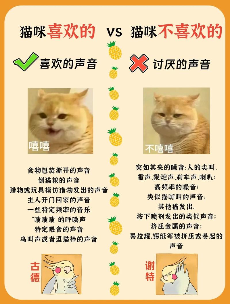 喵语里的心事，探秘猫咪心情不佳的那些事儿