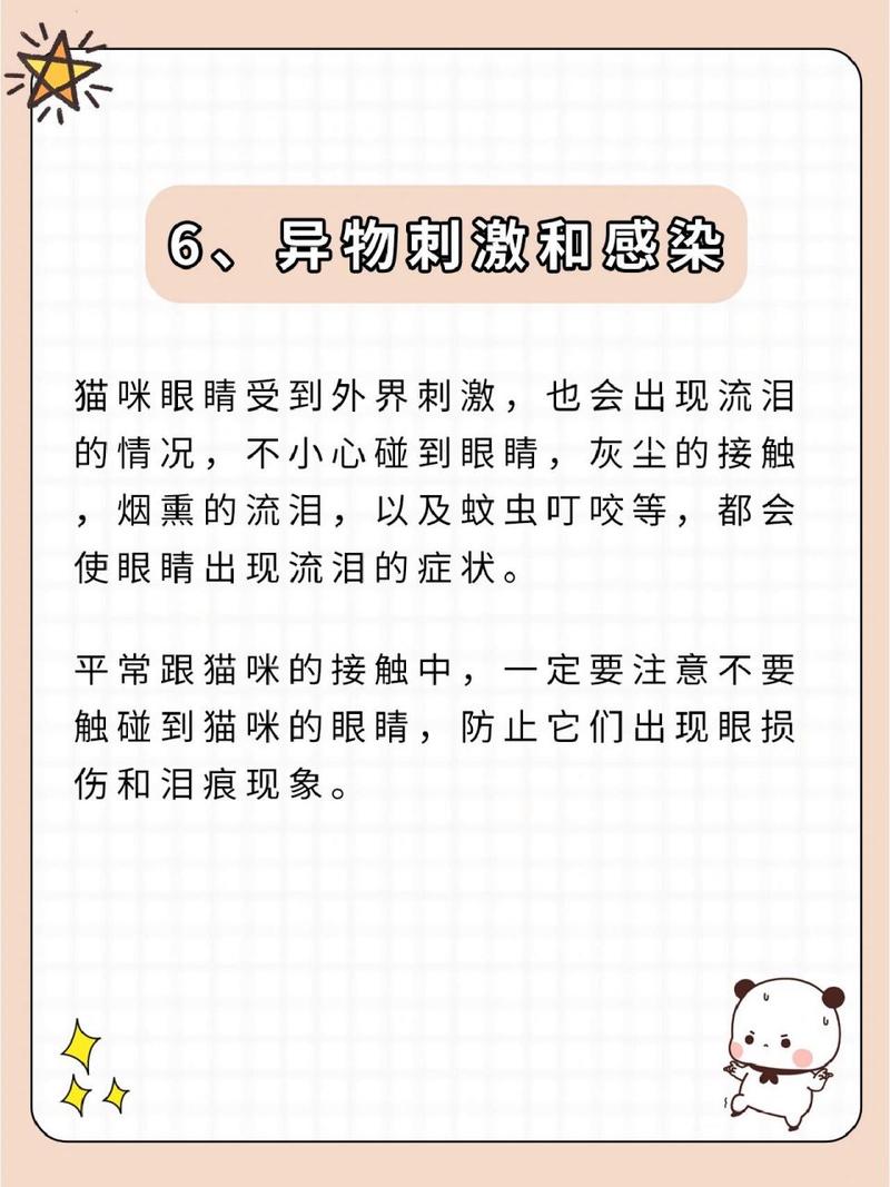 猫咪的泪水，为什么它们会在脸上擦泪痕