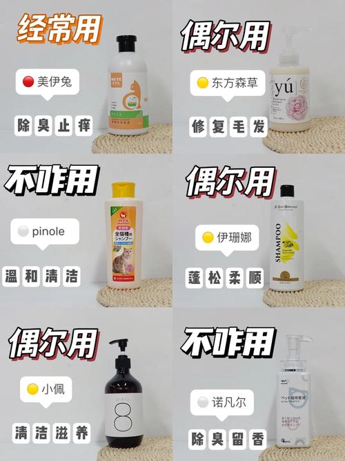 猫咪沐浴，舒适享受——选购猫咪洗澡用品的全攻略