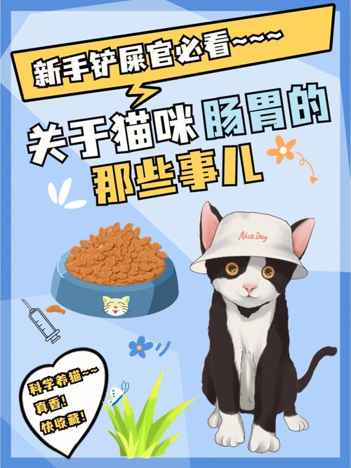 猫咪健康警示，呕吐与便秘如何影响它们的生活