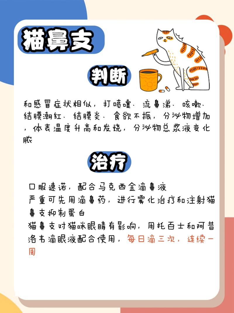 猫咪着凉感冒，如何照顾生病的小主子