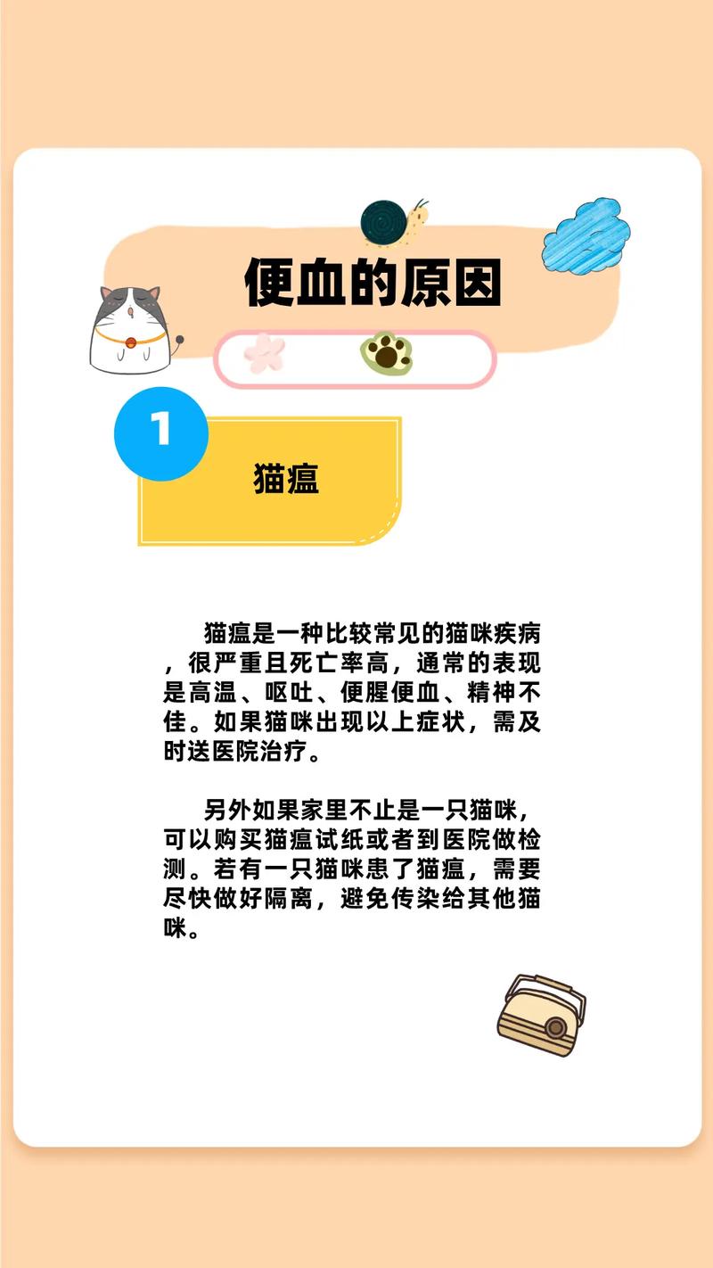 猫咪术后出现便血，如何应对和预防