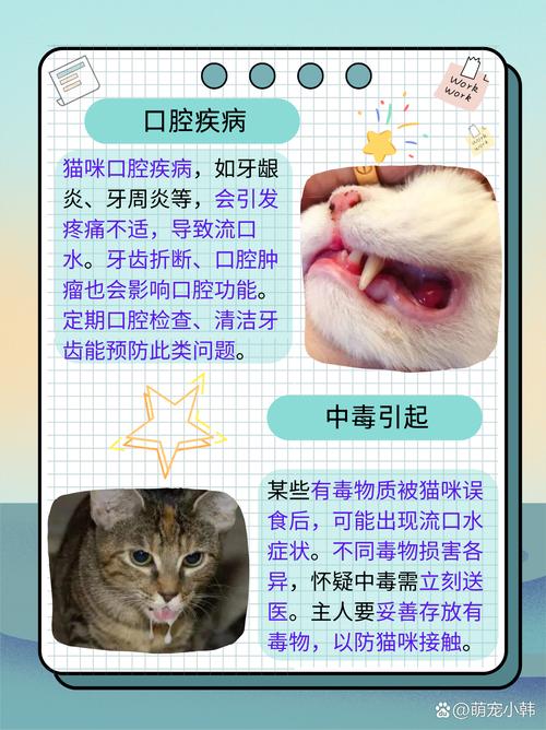 猫咪不爱吃盐，是健康饮食的信号吗？