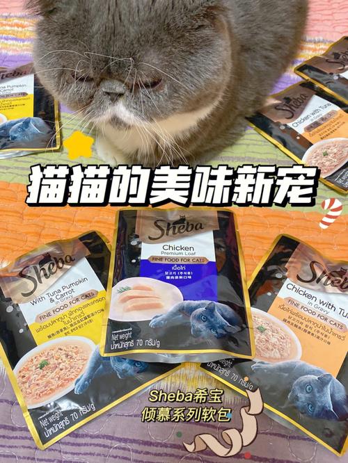 揭秘猫咪挑食的秘密——如何满足你的小猫的味蕾