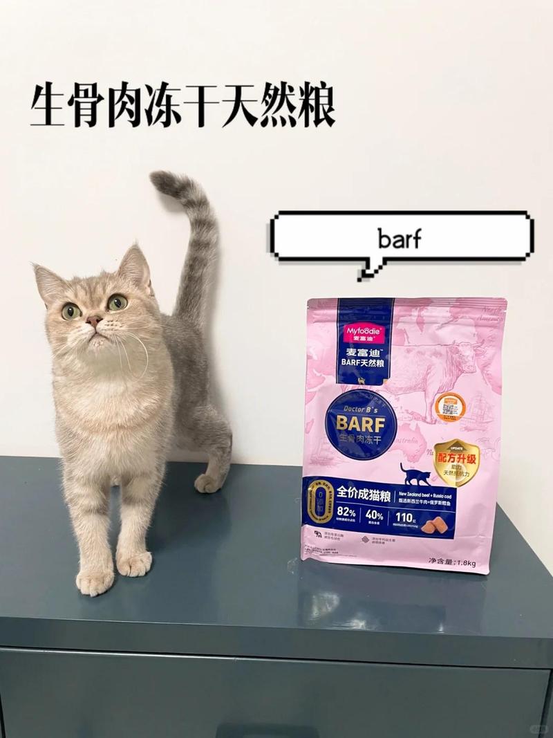 猫咪的39度高烧，如何正确处理？