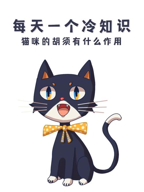 猫咪的智慧之光，如何正确处理猫咪折断胡须