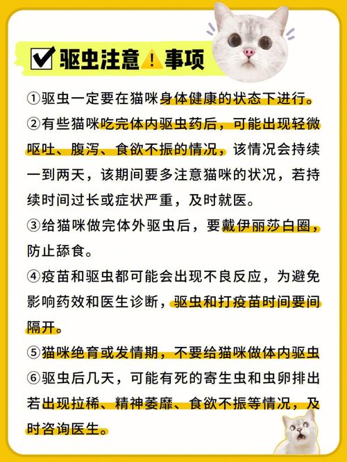 猫咪皮肤虱子，预防与治疗全攻略