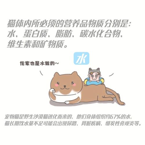 猫咪钾，解读猫咪饮食中的营养秘密