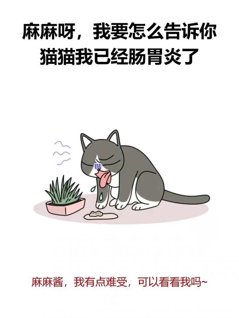 猫咪肠胃炎，了解症状、预防与治疗