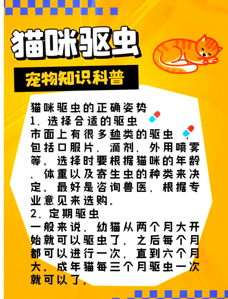 揭秘猫咪为何拉出粘膜，健康状况的警示信号