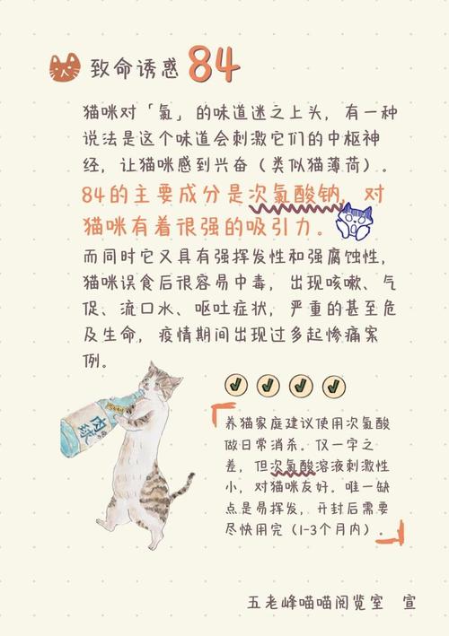 揭秘猫咪鼻子的秘密，如何从小中窥见大