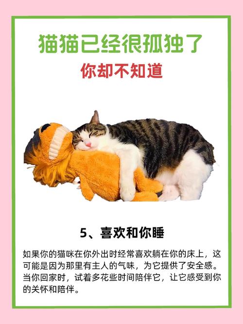 猫咪脚趾出水背后隐藏的健康秘密