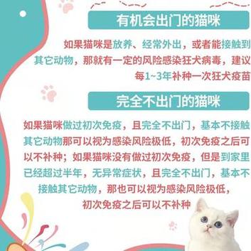 延后猫咪疫苗接种，背后的考量与必要性