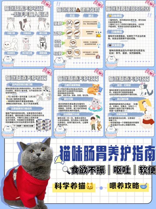 探索猫咪肠道健康的关键——黏液的作用