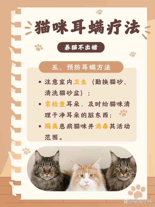 猫咪耳后受伤，如何正确处理与预防？