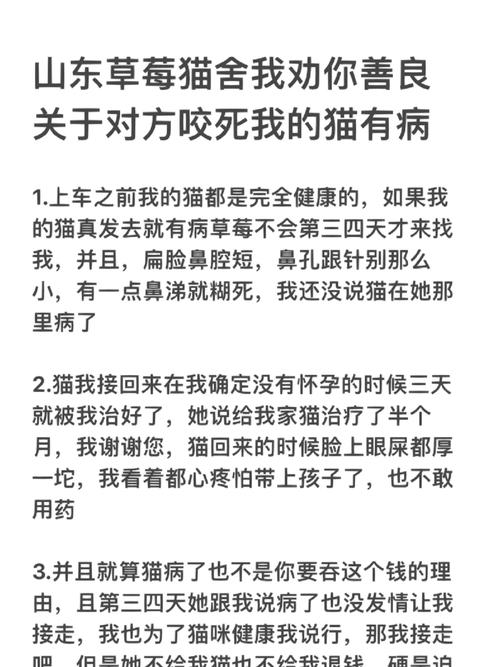 猫咪吃药的难题与解决之道