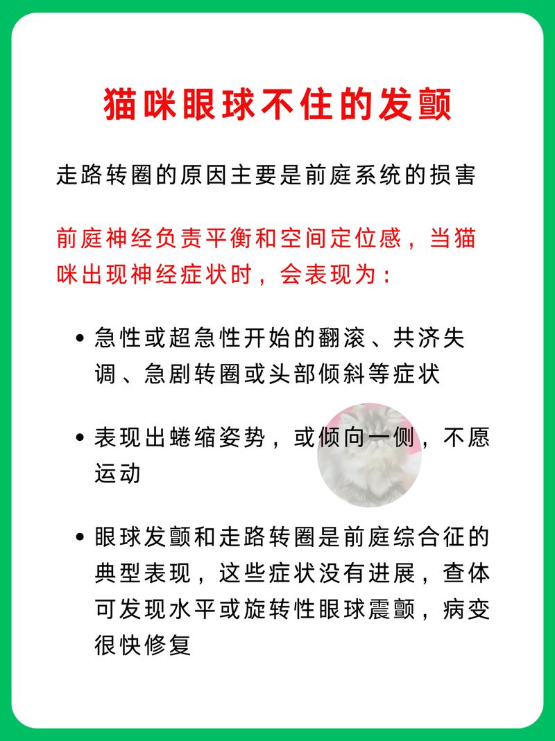 揭秘猫咪眼球错位的秘密