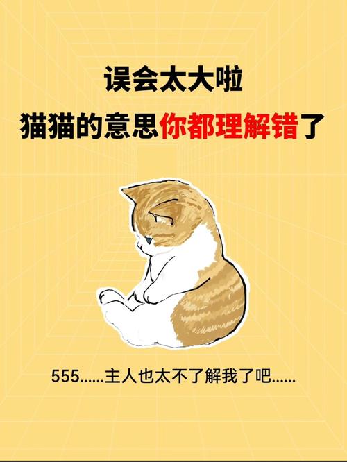 猫咪的攻击行为，误解还是挑战？