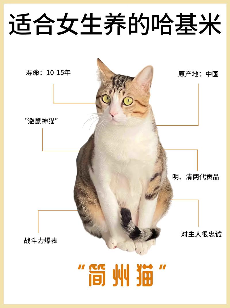 猫咪耳朵为何会出水？