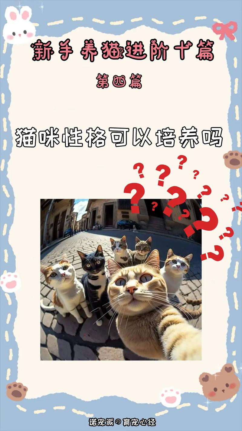 猫咪的吊爪艺术，探索它们优雅抓挠的秘密