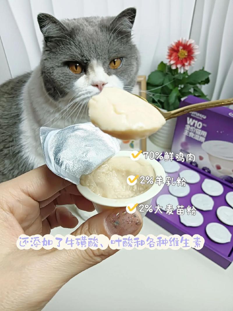 奶香四溢的羊奶布丁，猫咪的最爱