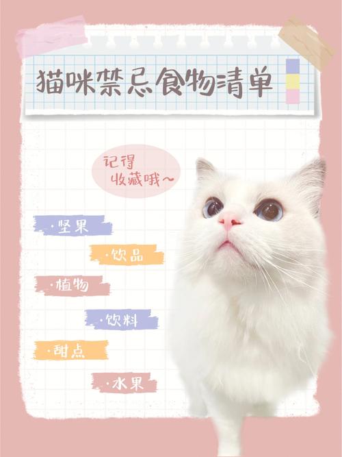 揭秘猫咪生活中的10大禁忌，打造宠物猫的幸福生活