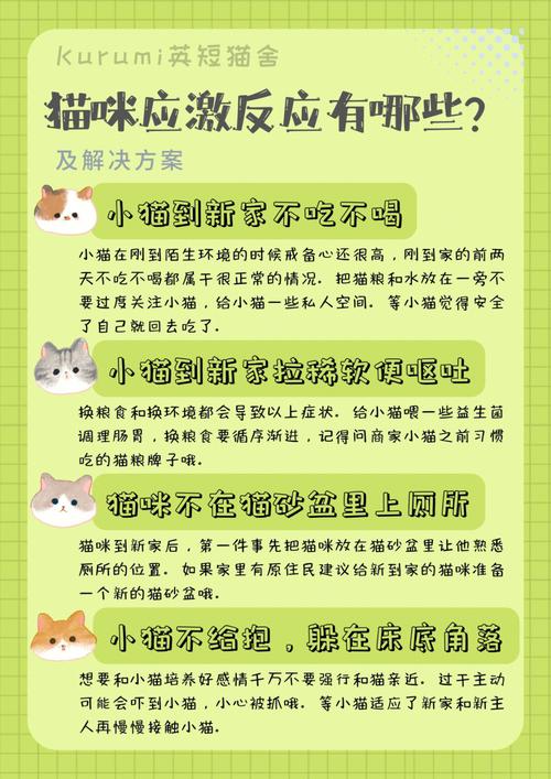 猫咪也能吃思密达吗？专家解读猫咪腹泻的正确治疗方式