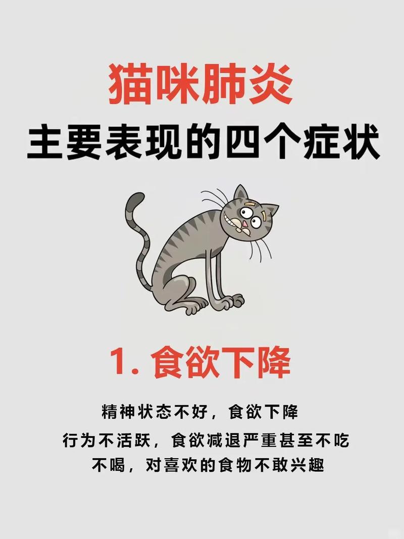 猫咪顽固咳嗽