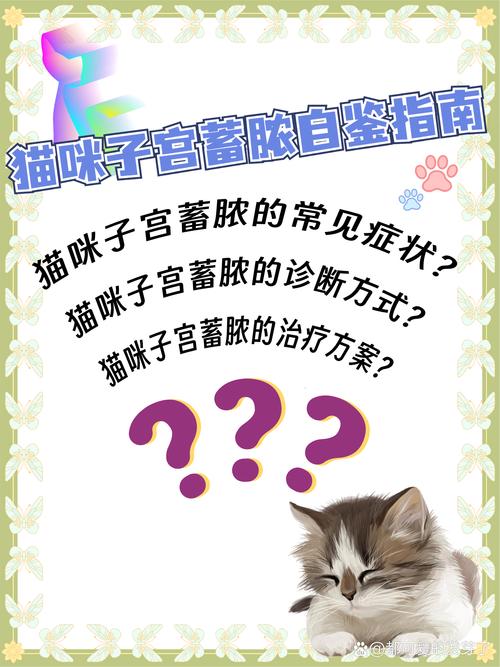 揭秘猫咪子宫肿大的真相与预防