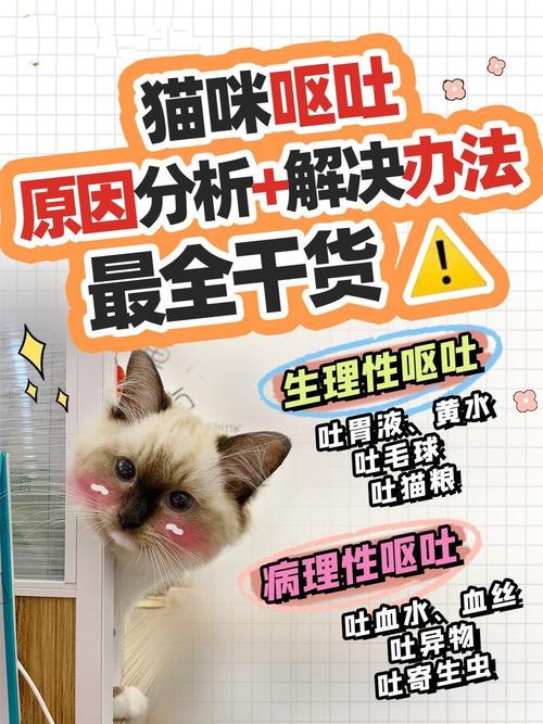 猫咪脱水的常见原因及预防措施