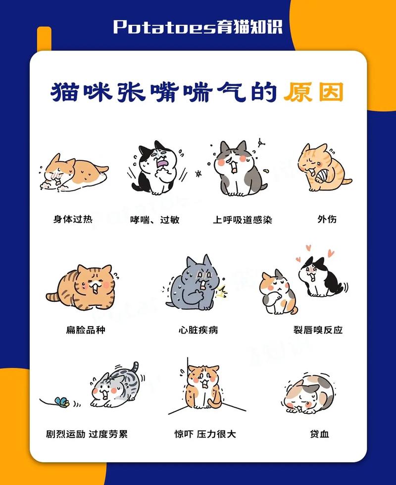 揭秘猫咪气喘的真正原因