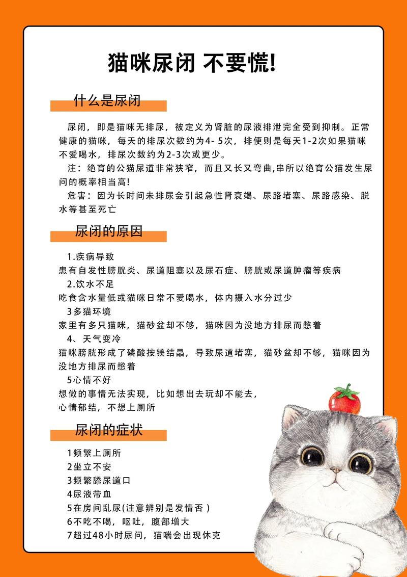 猫咪尿路问题，了解与预防