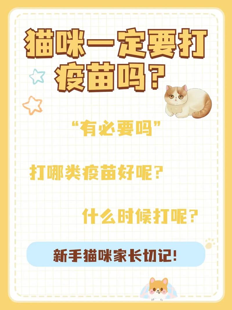 猫咪疫苗，全面守护毛孩子健康成长的必要之选