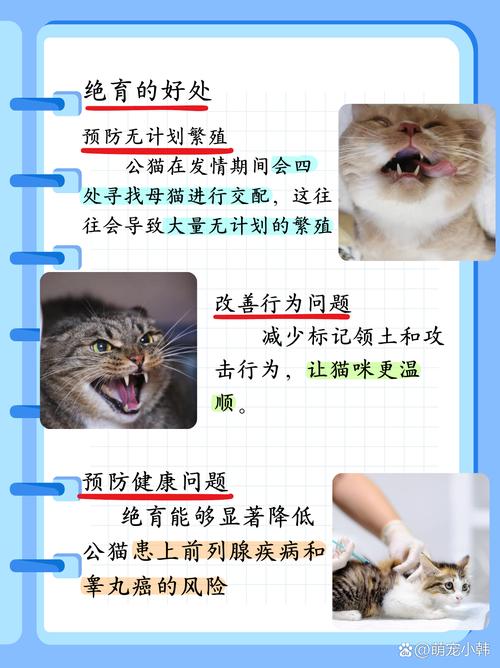 猫咪如何巧妙推迟生育计划