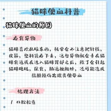 猫咪便血，潜在疾病的警示信号